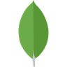 MongoDB